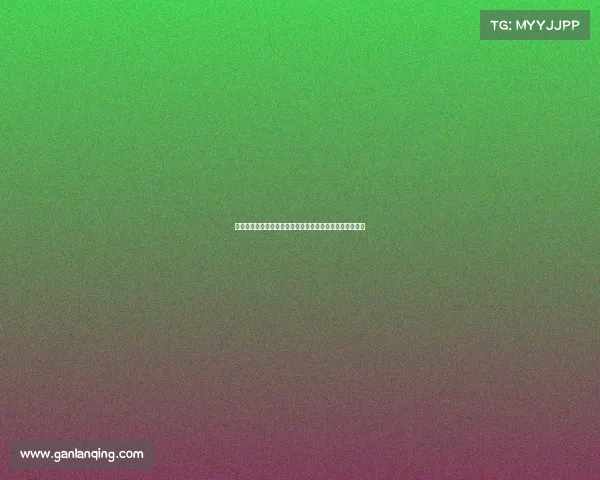 阿尔及利亚新星加盟沃尔夫斯堡，转会费欧元助力球队进攻